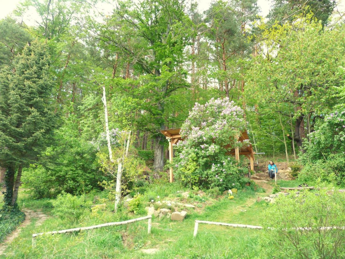 Chaloupka U Sv. Dyndy Apartment Nova Ves (Ceske Budejovice)