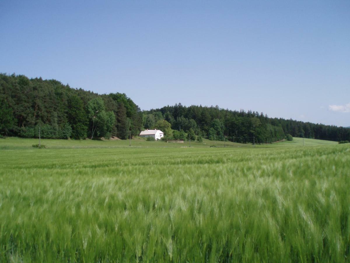 Chaloupka U Sv. Dyndy * Nova Ves (Ceske Budejovice)